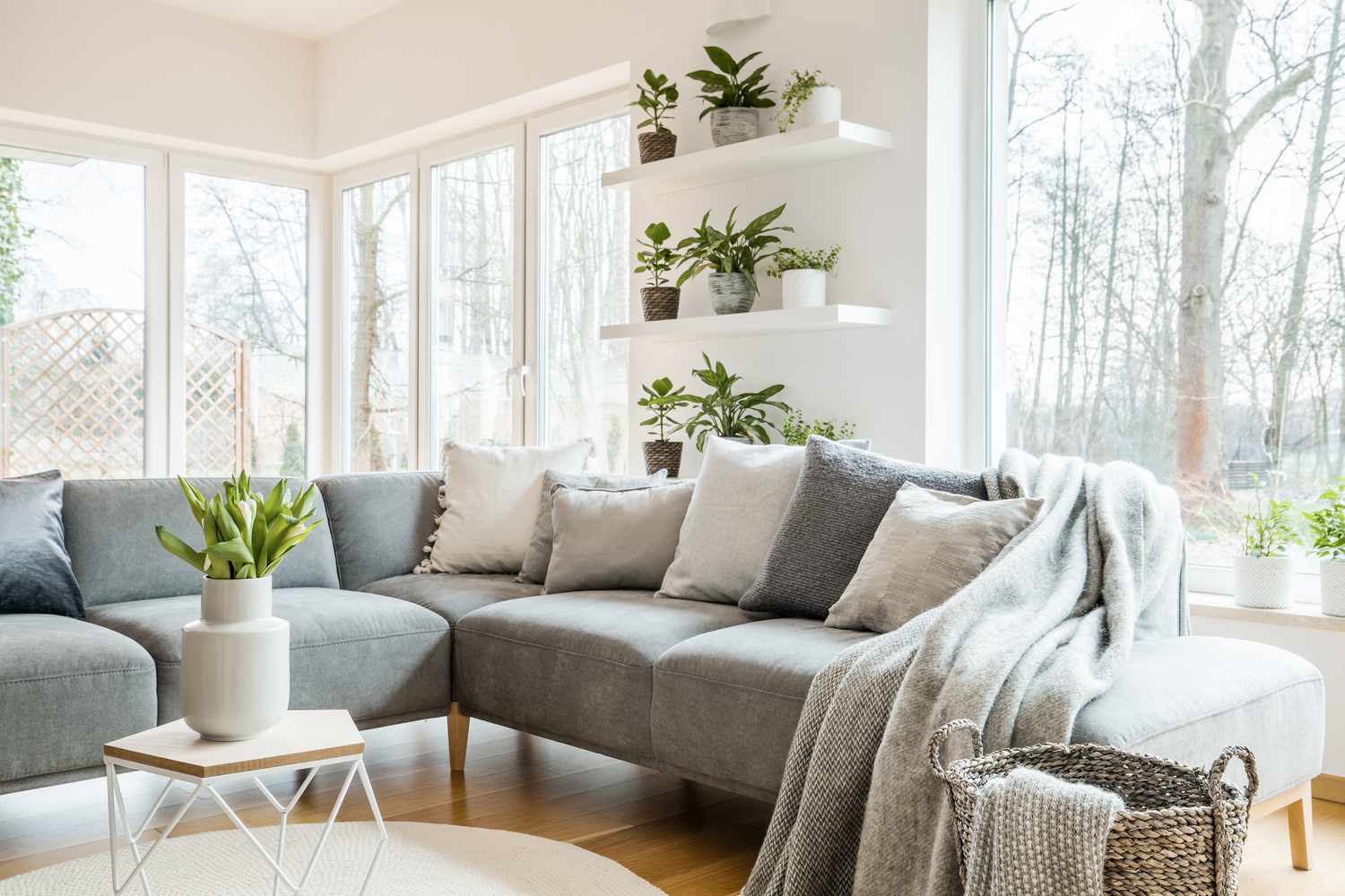 Graues Ecksofa mit Kissen und Decken im weißen Wohnzimmer mit Fenstern und Glastür und frischen Tulpen auf dem Beistelltisch