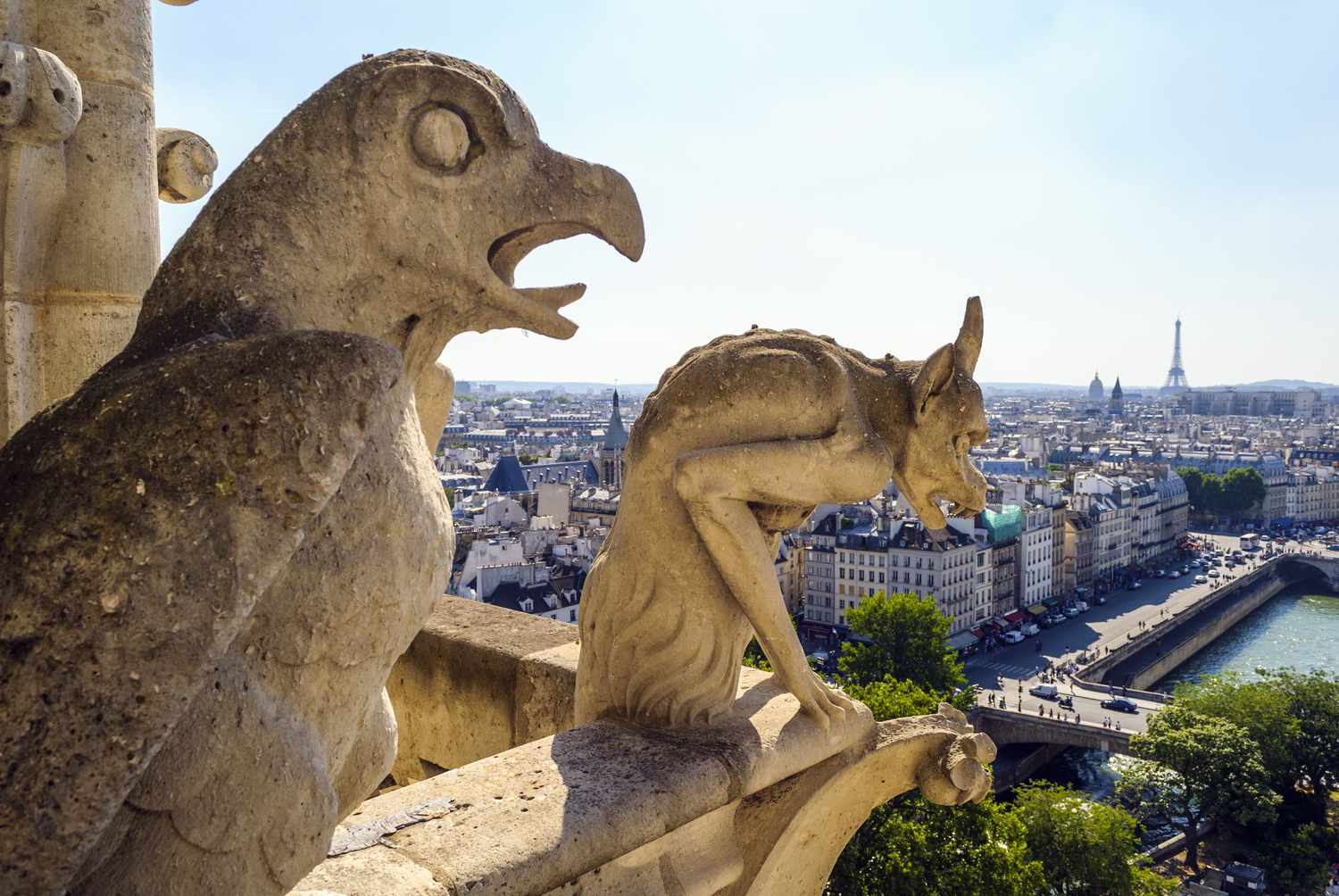 Wasserspeier auf dem Dach von Notre Dame, Paris, Frankreich