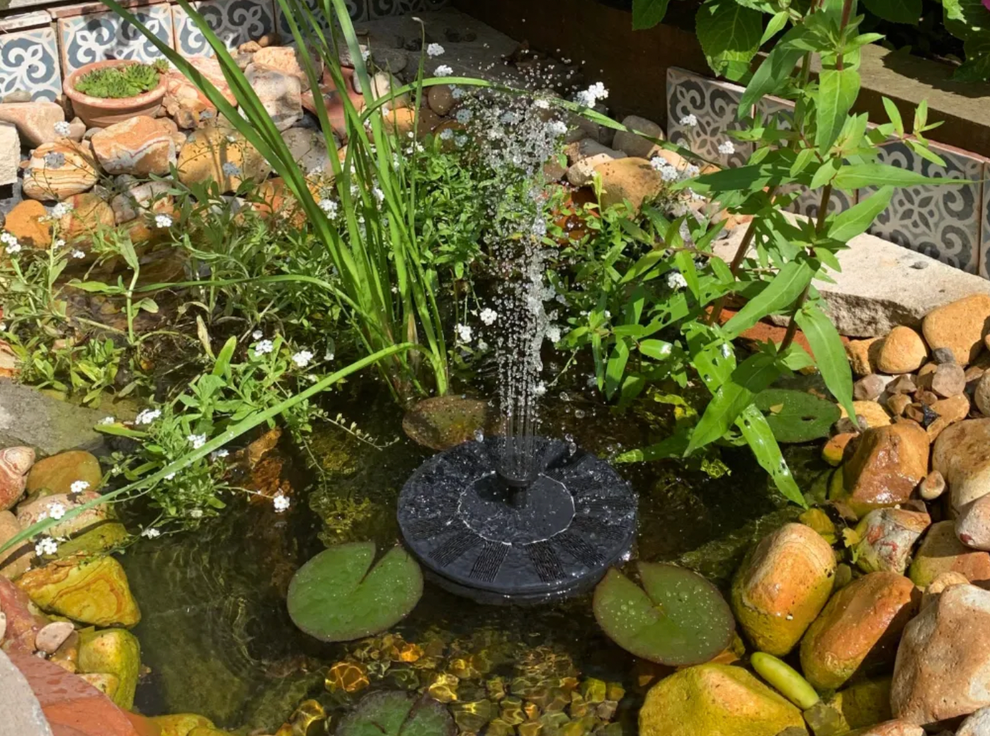 diy backyard pond