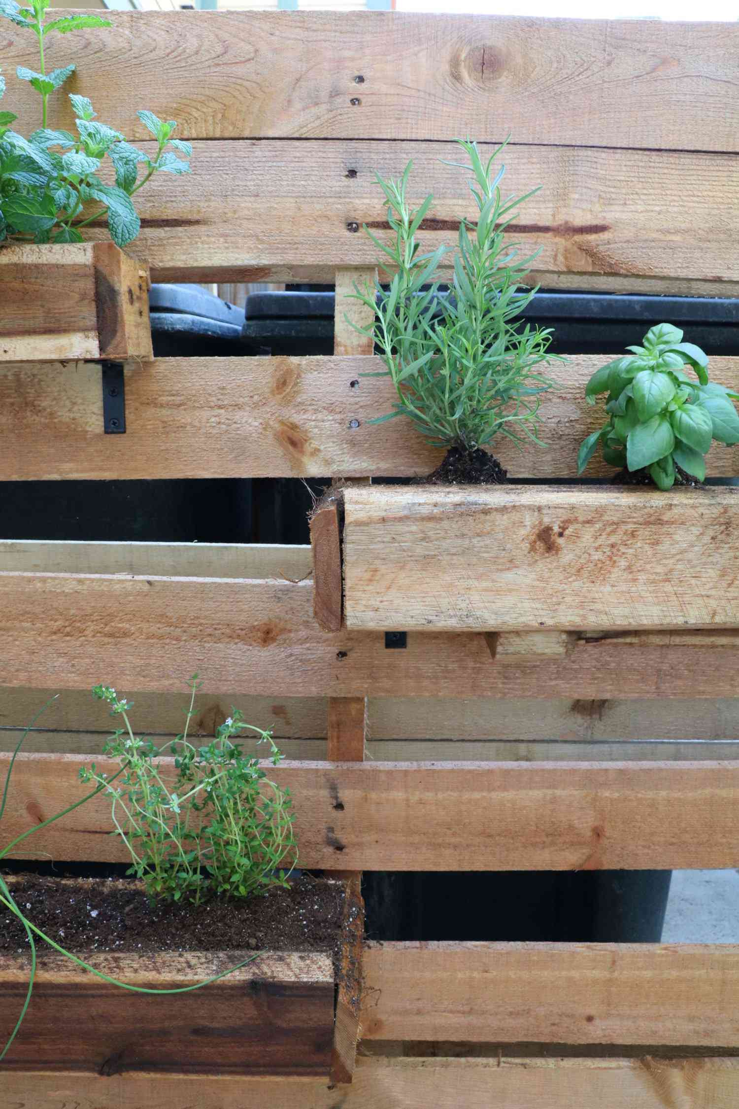 vertical herb garden