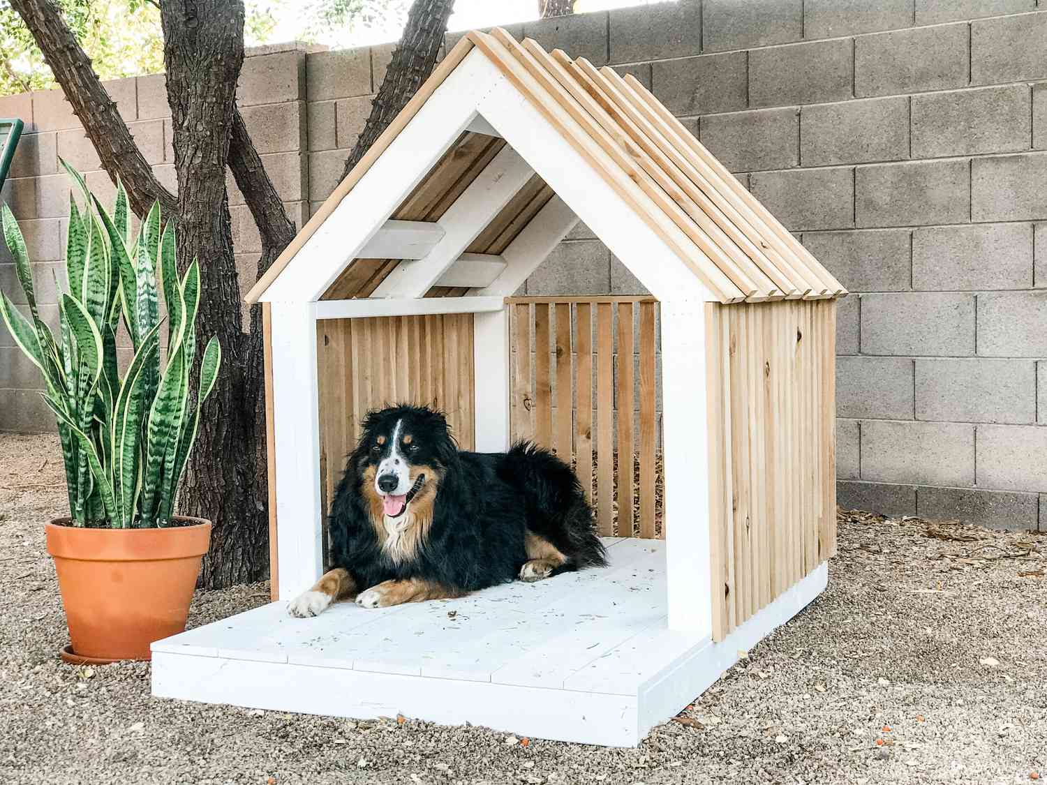 diy doghouse