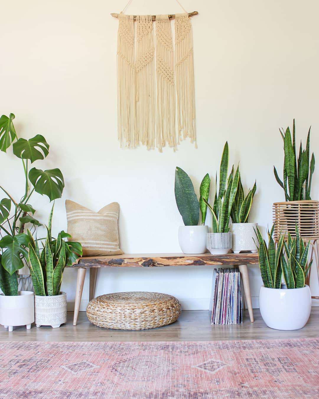 Potted plants displayed around a wood bench and a macrame hanging on the wall