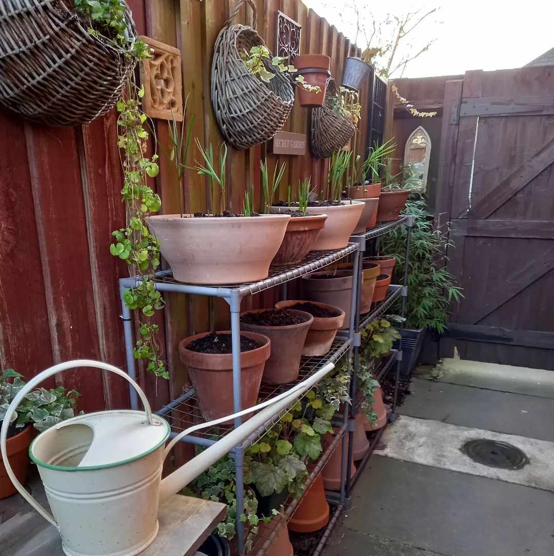 garden shelf