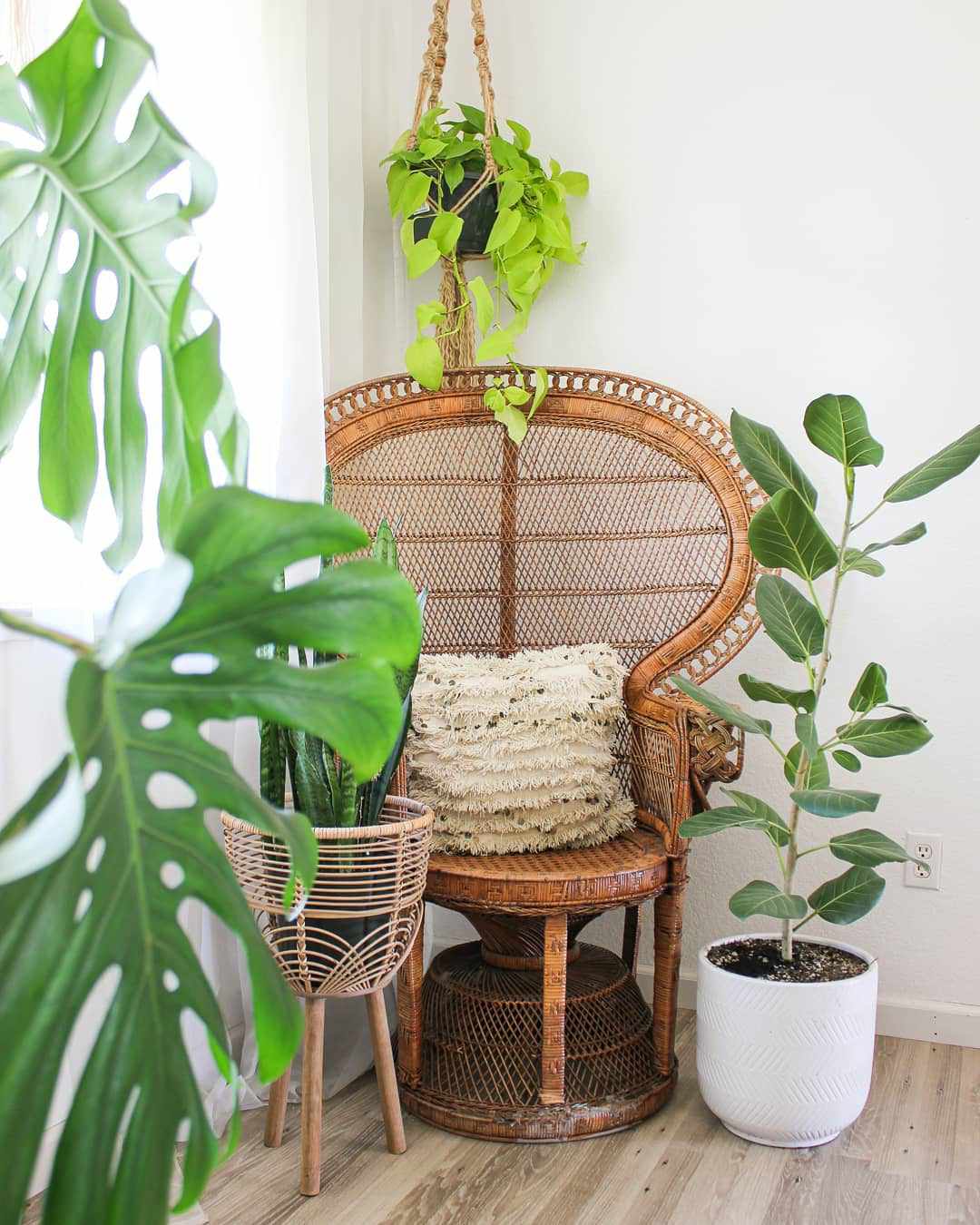 Rattan chair and planter in a corner with live greenery around